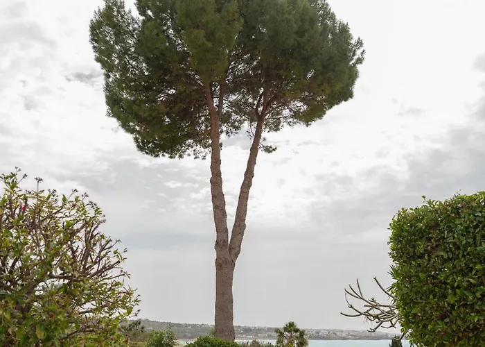 Appartement Sea View In Coral Bay Peyia