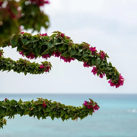 Sea View In Coral Bay *