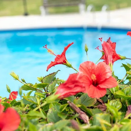 Sea View In Coral Bay Апартаменты *