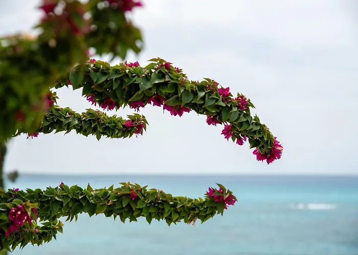 Sea View In Coral Bay *