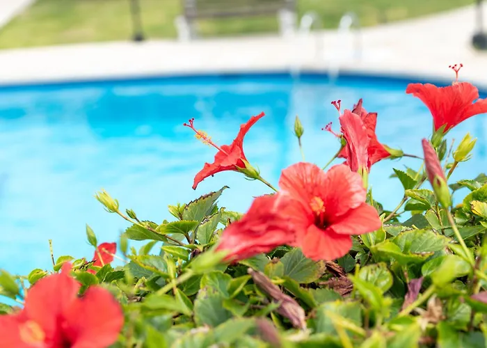 Sea View In Coral Bay Apartament *